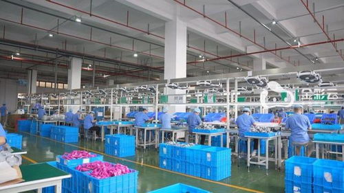 威邦運動 跨越山巒擁抱世界