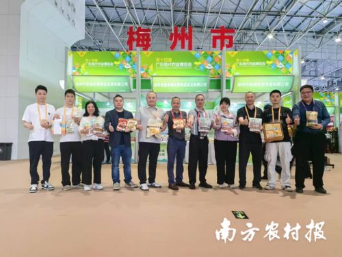 智創(chuàng)未來，AI賦能 蕉嶺毛竹品牌煥新，實(shí)業(yè)公司引領(lǐng)產(chǎn)業(yè)升級(jí)